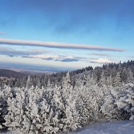 Апартаменты Gorski Widok