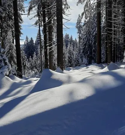 Апартаменты Gorski Widok Шклярска-Поремба