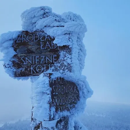 Апартаменты Gorski Widok