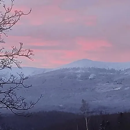 Gorski Widok Апартаменты *