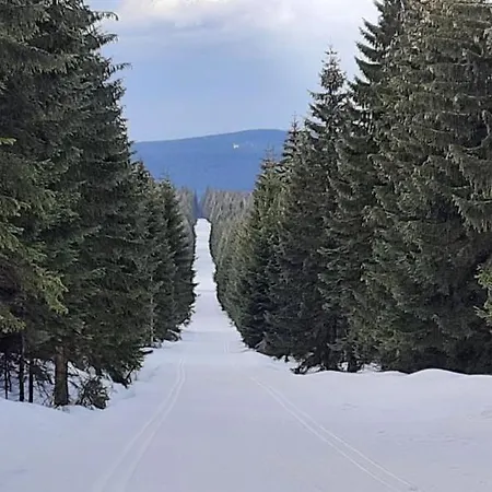 Gorski Widok شقة