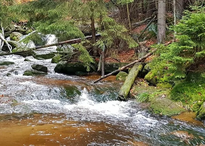 Apartmán Gorski Widok