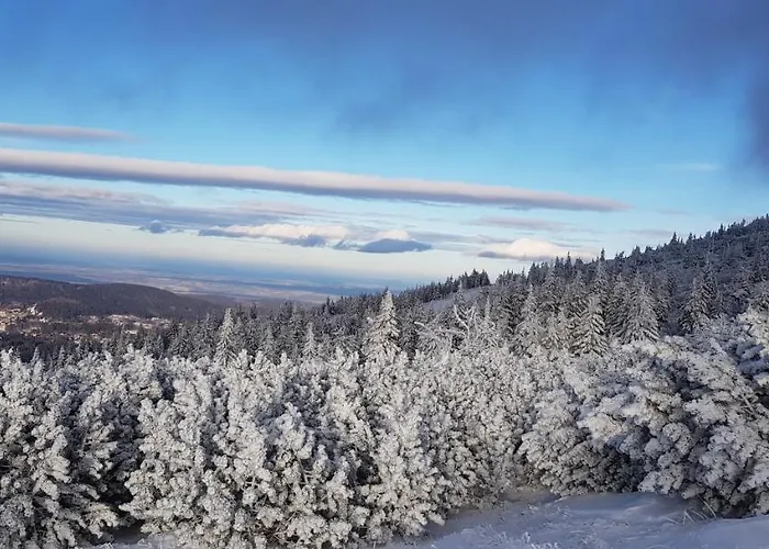 Apartmán Gorski Widok