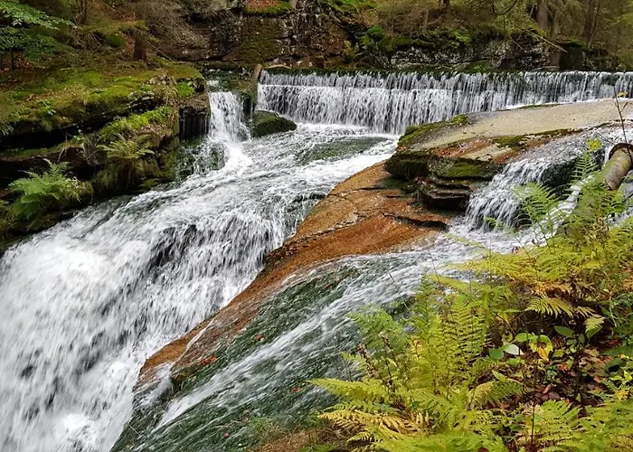 Apartmán Gorski Widok *