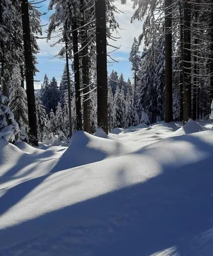 Apartmán Gorski Widok Sklářská Poruba