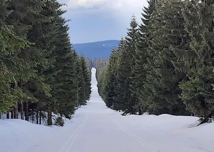 Gorski Widok Apartmán